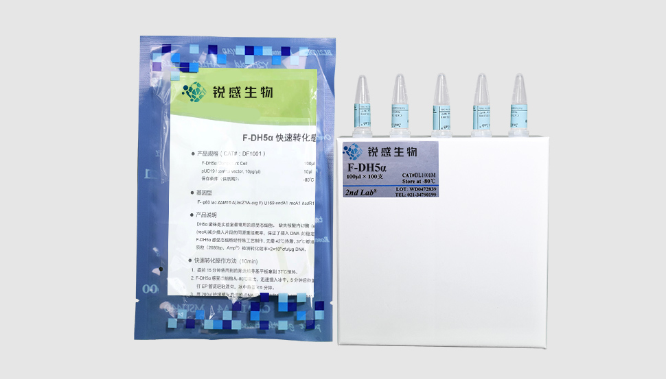 F-DH5α快速转化感受态细胞